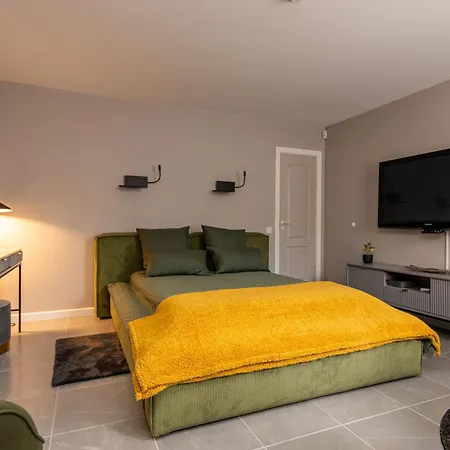 Guest house Dvivieciai Apartamentai